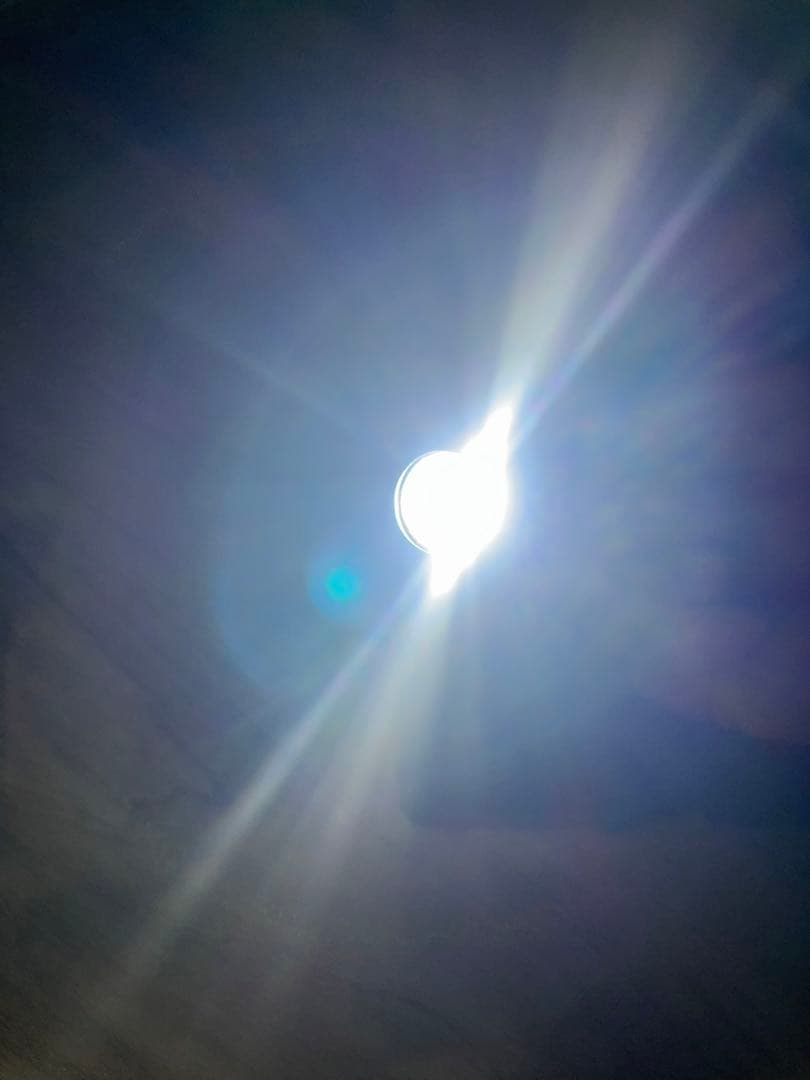 TLR-1 　実物 リモートスイッチ用バッテリードア　フォースリーコン　usmc