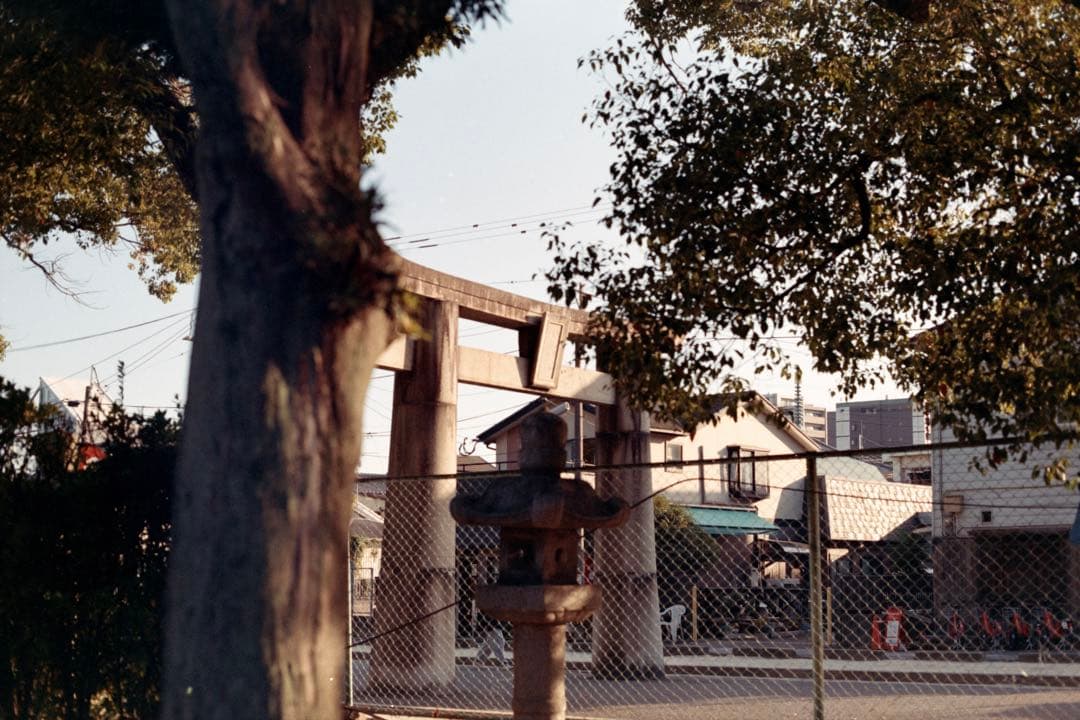 動作ok MINOLTA X-700 New フィルム一眼レフカメラ