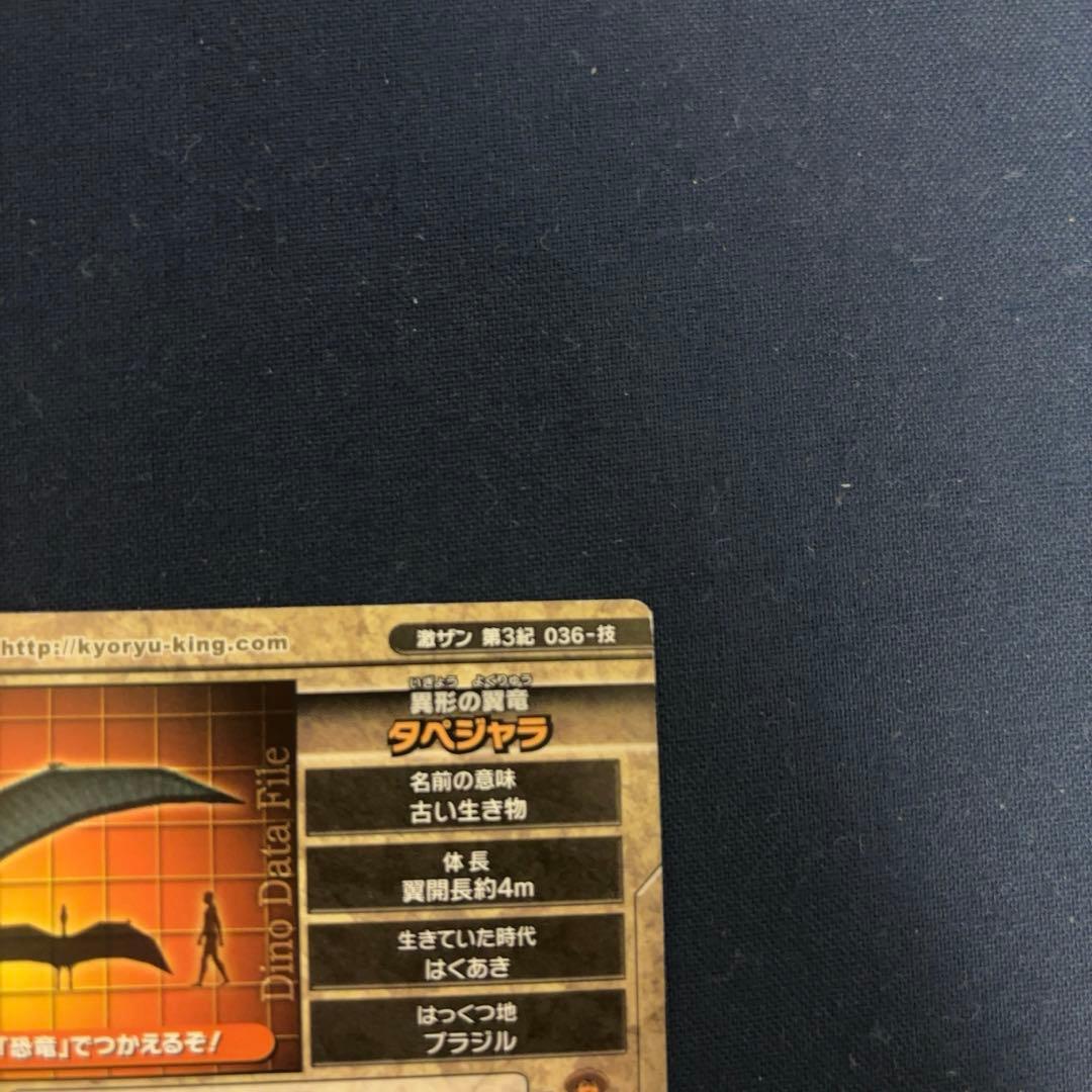 恐竜キング 技カード まとめ売り ミハサ