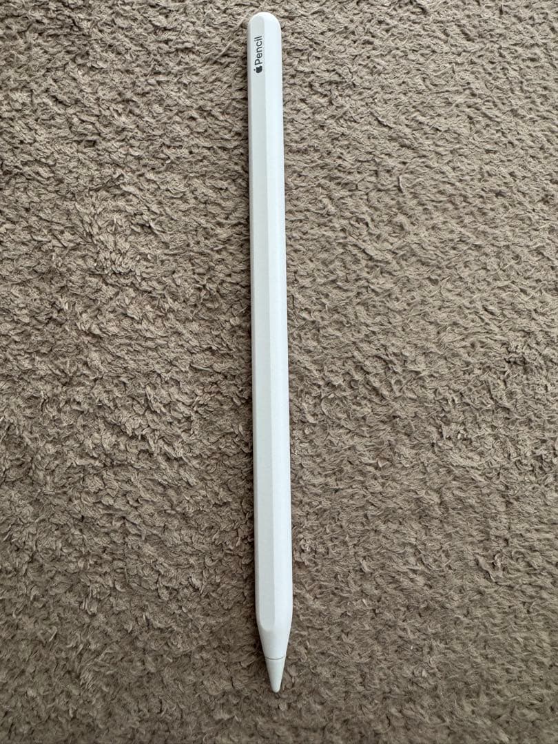 iPad Air 第5世代 256GB SIMフリー Applepencil他付