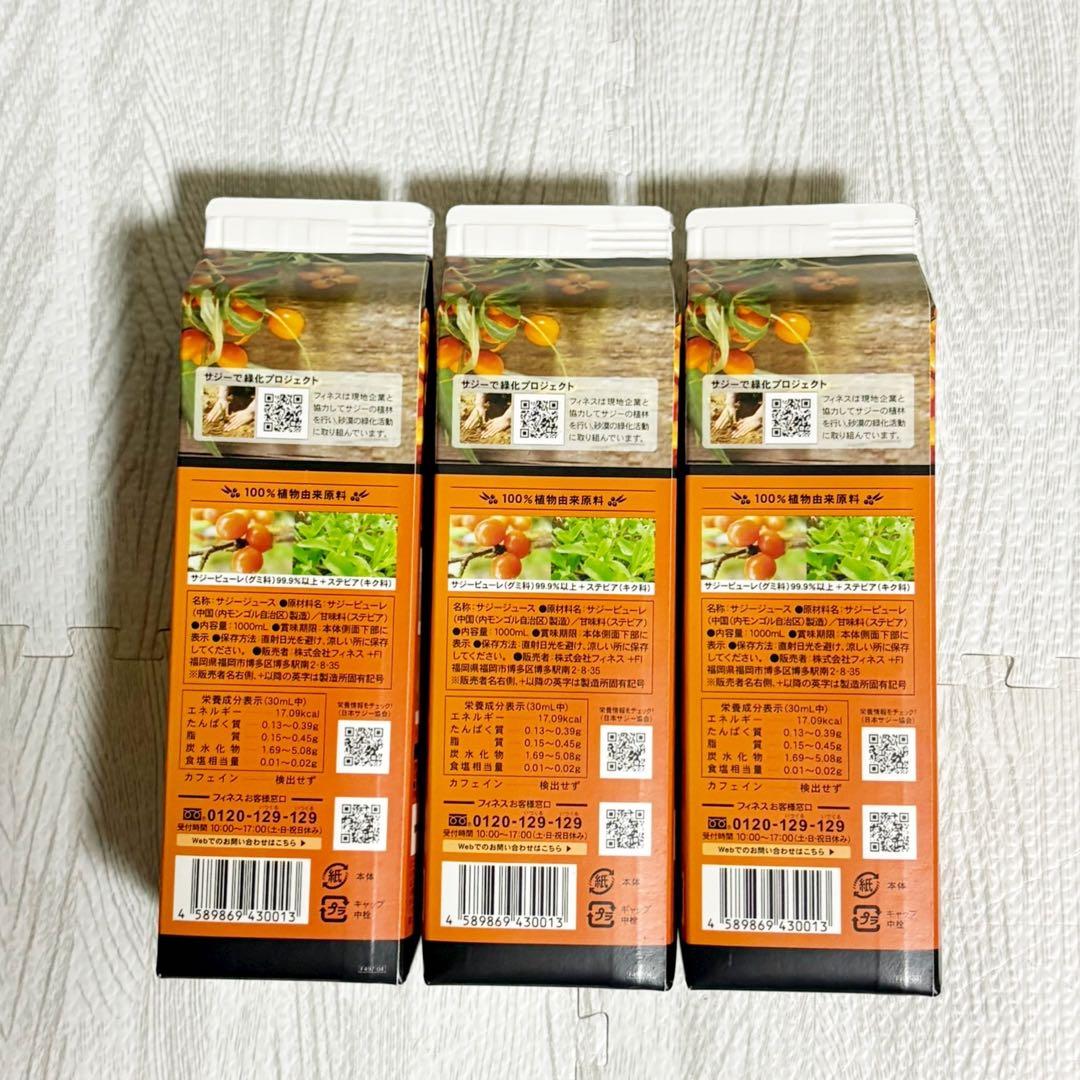 【新品未開封】豊潤サジー 1000ml 3本セット フィネス おまけ付き！