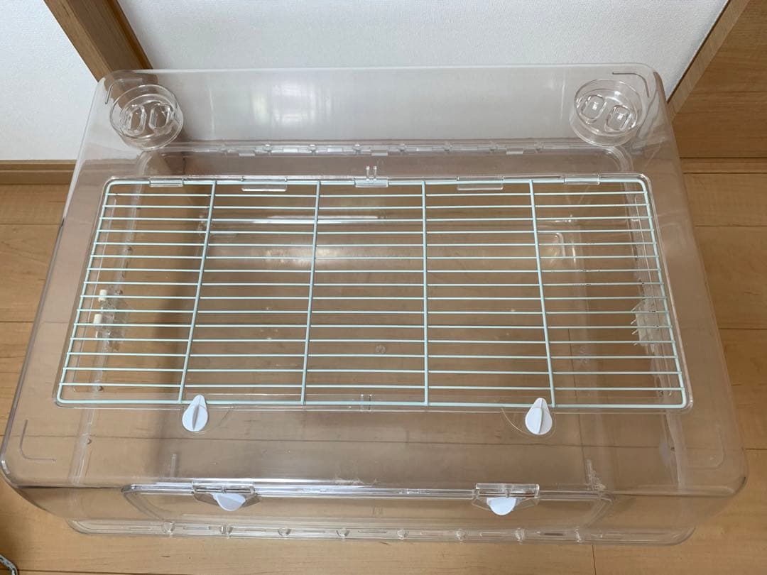 ルーミィ60 ベーシック　サイレントホイール　木のおうち　ハムスター　小動物