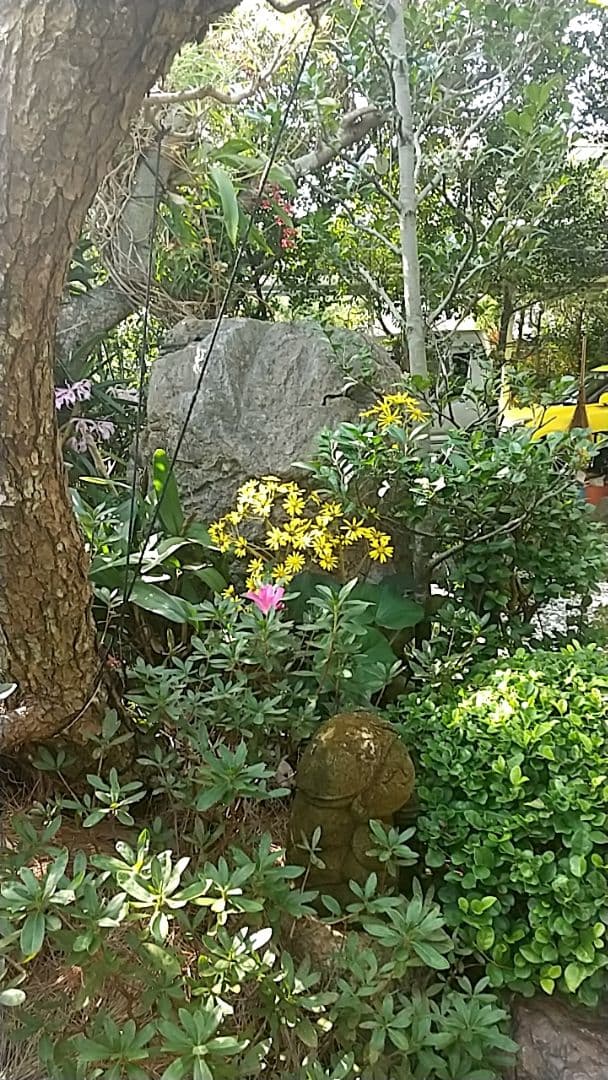 【李朝青磁】徳利