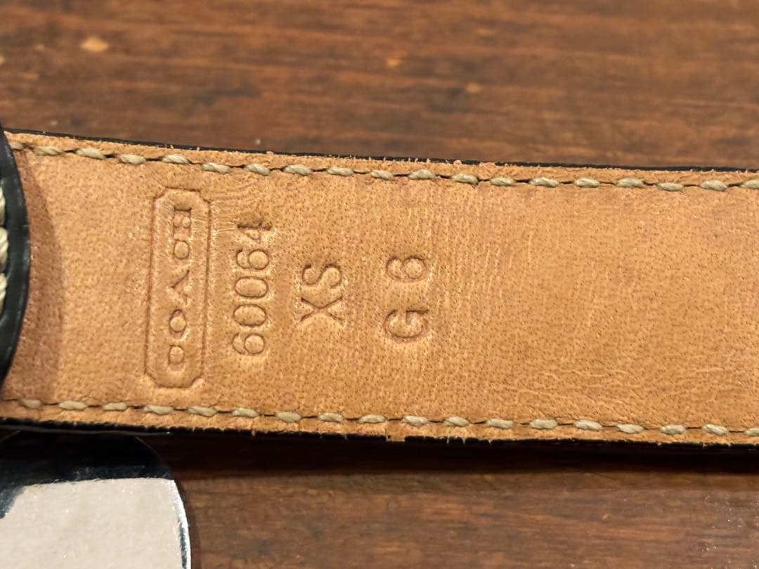 COACHレザー 犬用リードと首輪セット