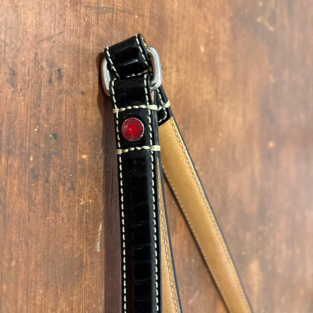 COACHレザー 犬用リードと首輪セット