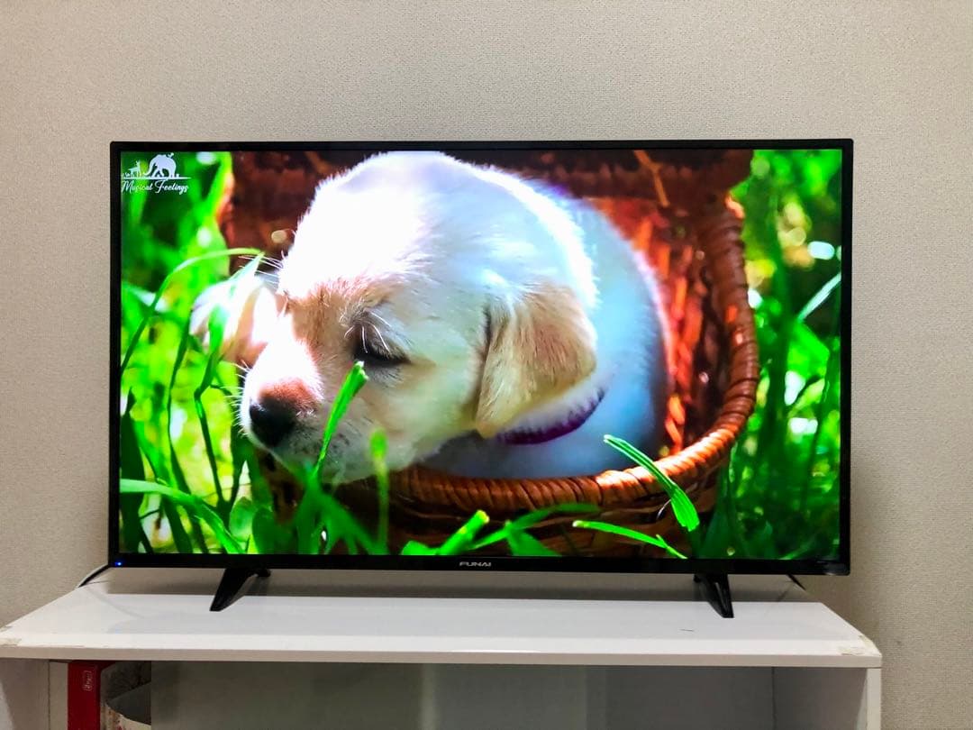 FUNAI　43V型　4K対応液晶テレビFL-43U3040 2022年製