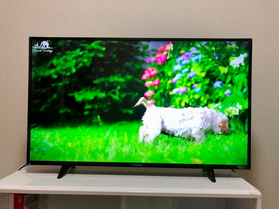 FUNAI　43V型　4K対応液晶テレビFL-43U3040 2022年製