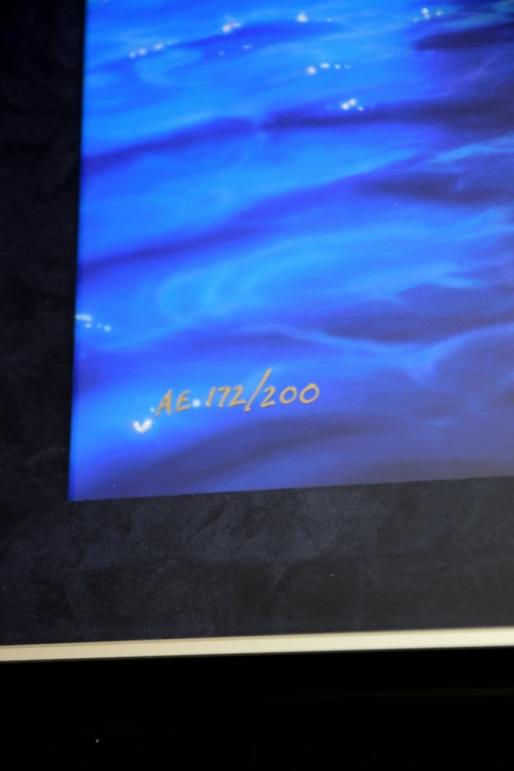 ラッセン 保証書付 ミクスドメディア スターリーアイズ（S）AE:172/200