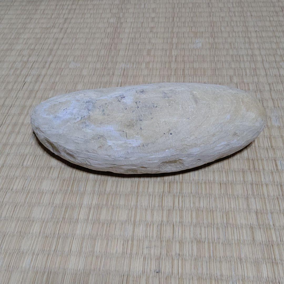 化石、恐竜超レア逸品化石、魚の化石、状態良し。ウロコしっかり有ります。