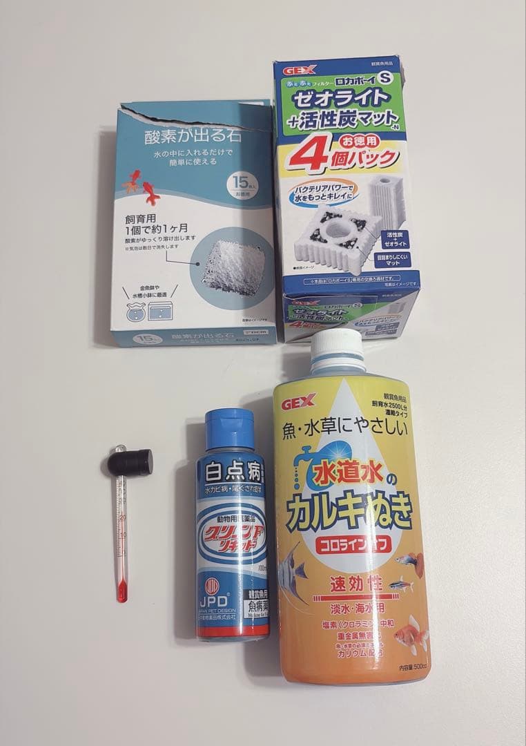 始めて飼育簡単一式セット