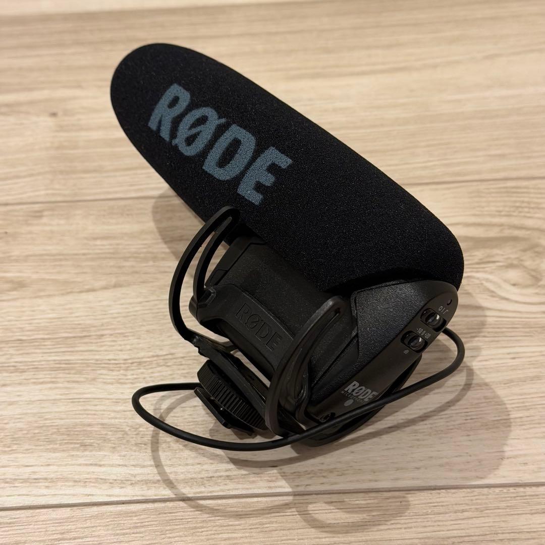 フルセット SONY FDR-AX60バッテリー3個、マイク、グリップ等他