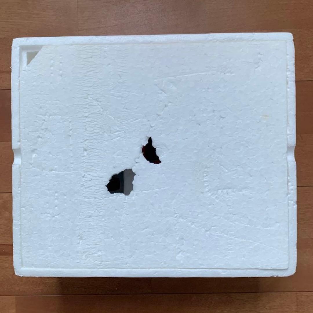 タイヨー ジェットホッパー ターボ ラジコン JETHOPPER 1985年