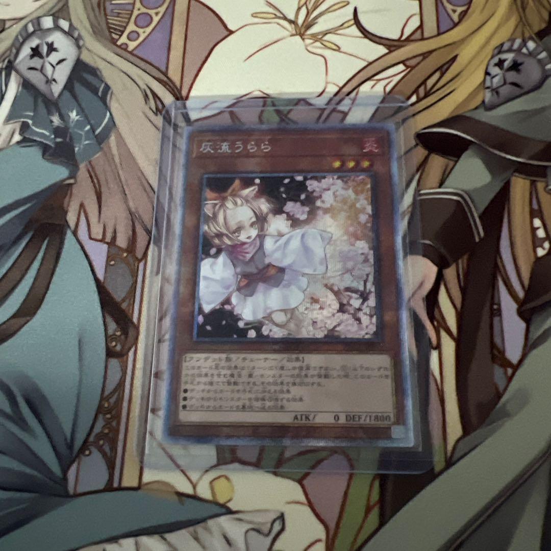 遊戯王OCG 灰流うらら プリシク 管理N-6