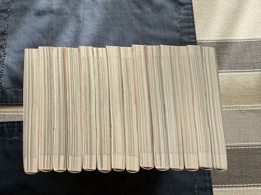 「氷の城壁」1〜14巻　全巻セット