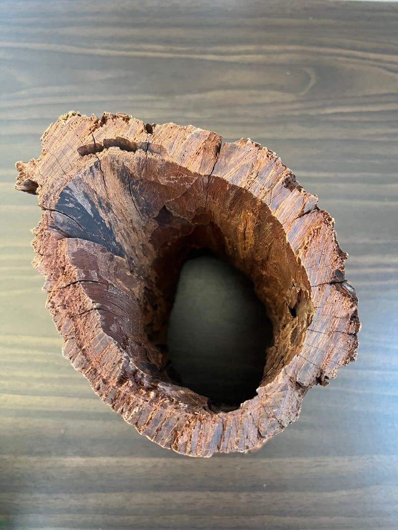 HX-007流木　空洞　爬虫類　アクアリウム　アクアテラリウム　即沈水