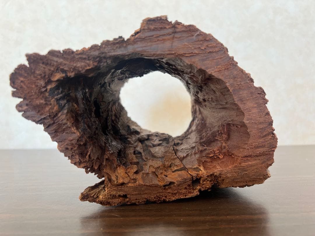 HX-007流木　空洞　爬虫類　アクアリウム　アクアテラリウム　即沈水