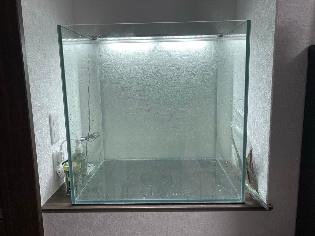 9/13ロボコン様購入予定 60cmオールガラス水槽600×450×600