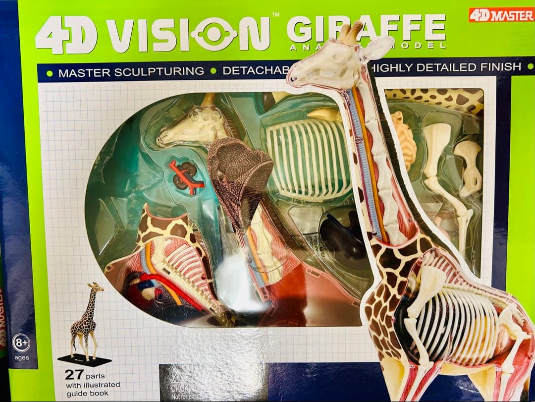 スカイネット　立体パズル　4D Vision 動物解剖模型セット　青島文化教材社