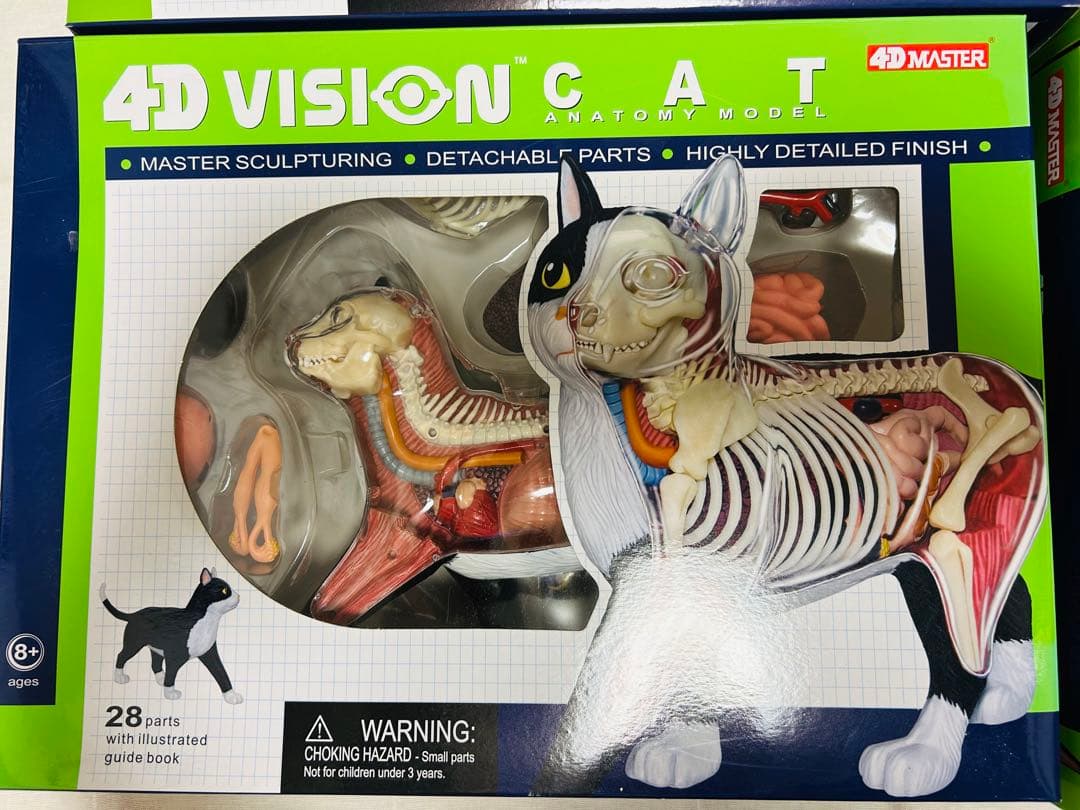 スカイネット　立体パズル　4D Vision 動物解剖模型セット　青島文化教材社