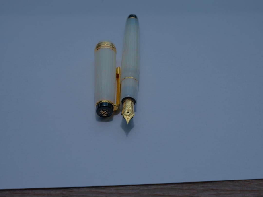 セーラー　四季織　雪椿　万年筆　EF