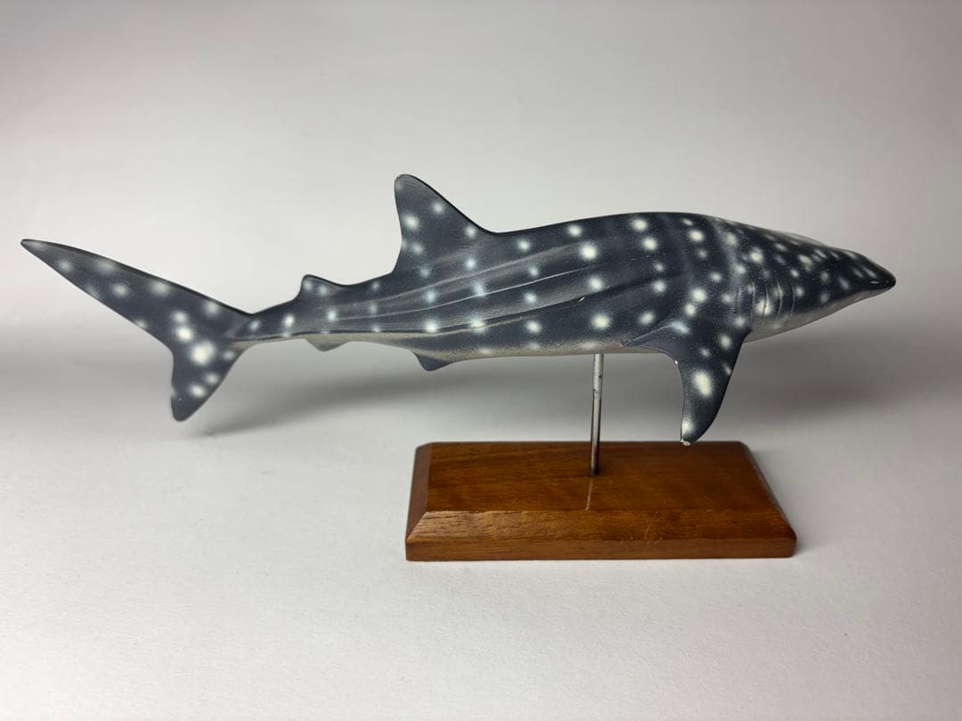 海洋堂ARTPLA 【ジンベイザメ】ポリストーン製／全長260㎜　超希少品