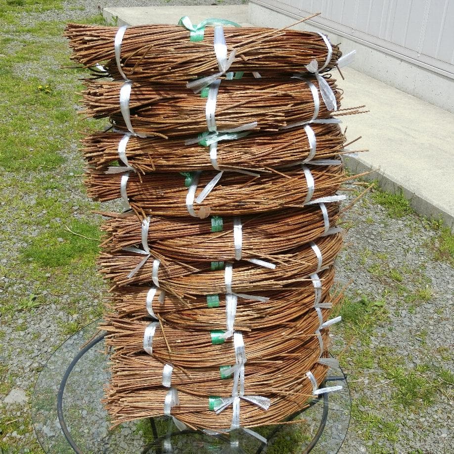 coco crochet　青森岩木山採取　あけび蔓　150cm～ 10kg