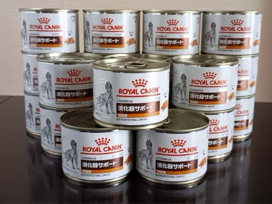  CANIN 消化器サポート 低脂肪 21缶