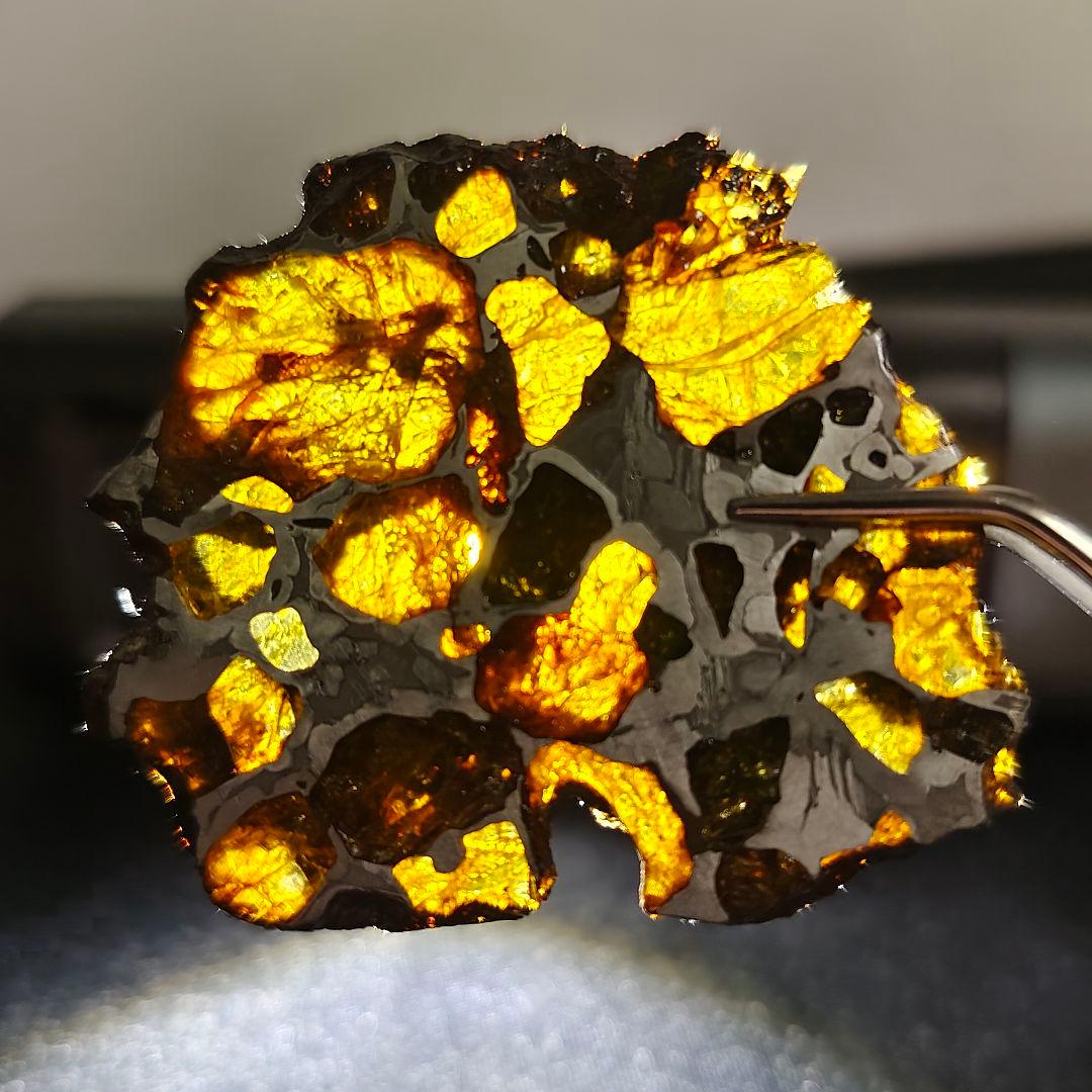 【パラサイト隕石】イミラック隕石20g ケース&ネームカード付き NO.409