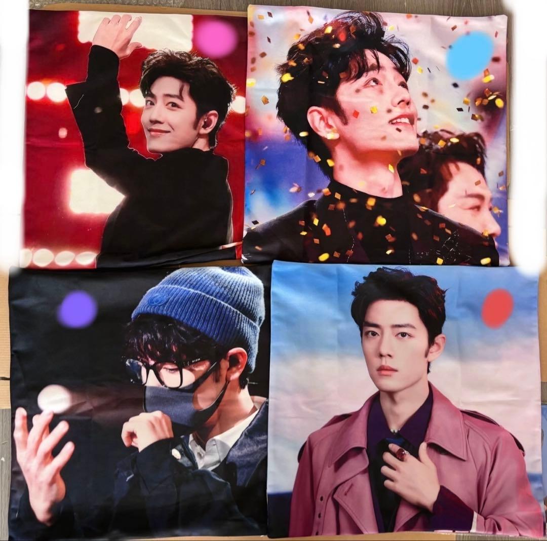 シャオジャン　肖战 2026年越し番組　ELLE雑誌　クッションカバー10点