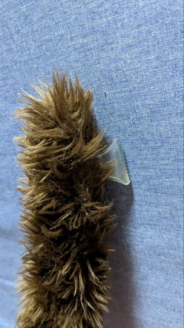 確認用画像です!!