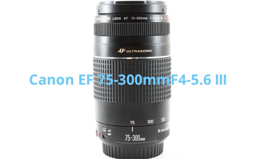 フルサイズ対応 /Canon EF 75-300mm F4-5.6 Ⅲ USM