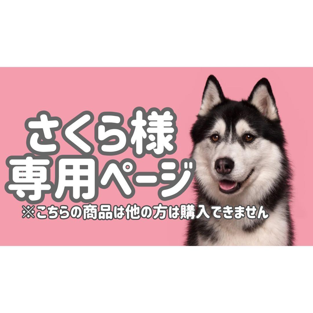 Fダ◯●さくらページ●◯