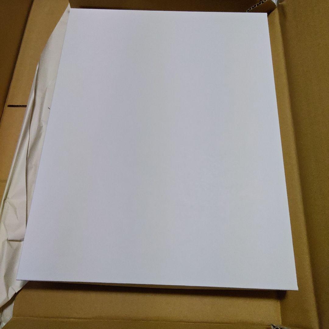 ブルーアーカイブ　ヒナ　額縁イラスト