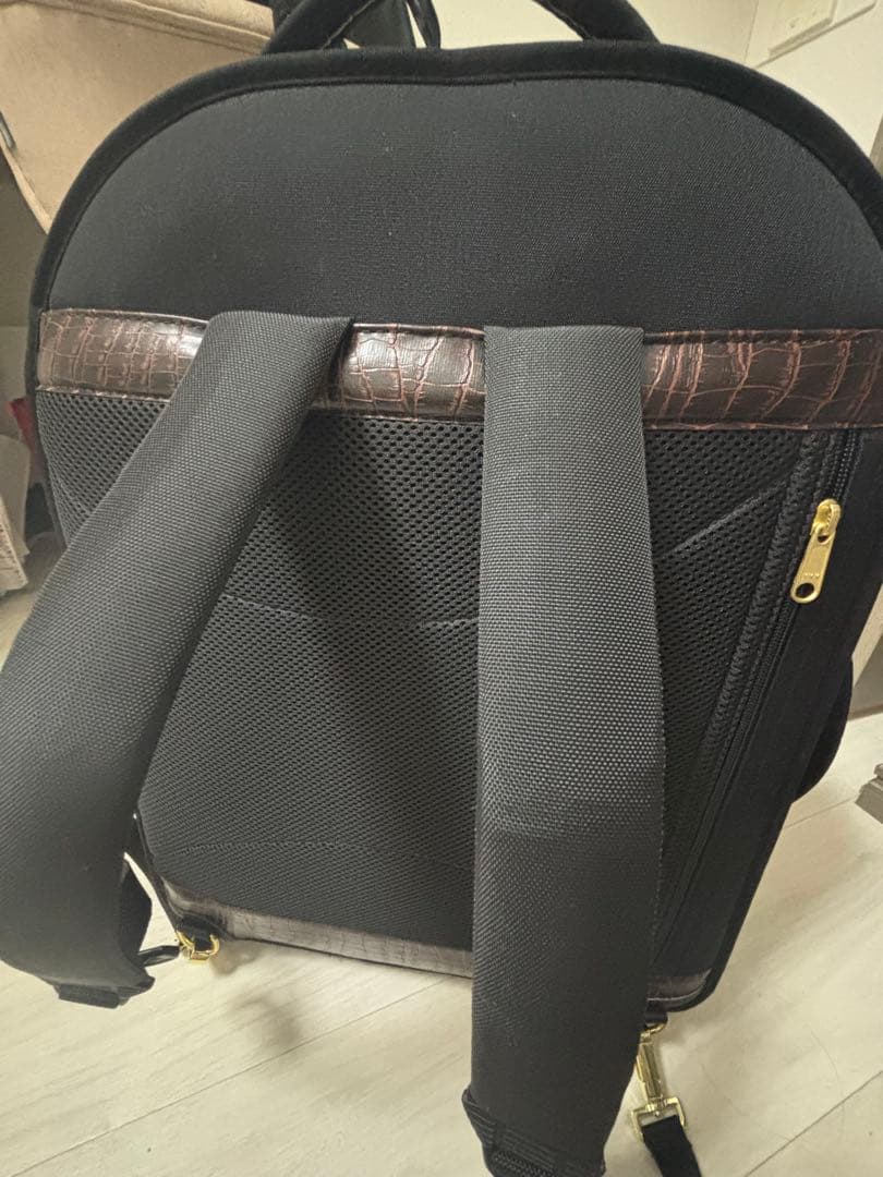 Alexander ホルンケース（付属ミュートケース付き）