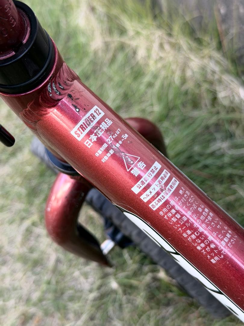 STRIDER PRO メタリックマルーン 12インチ【シンプルで軽い】