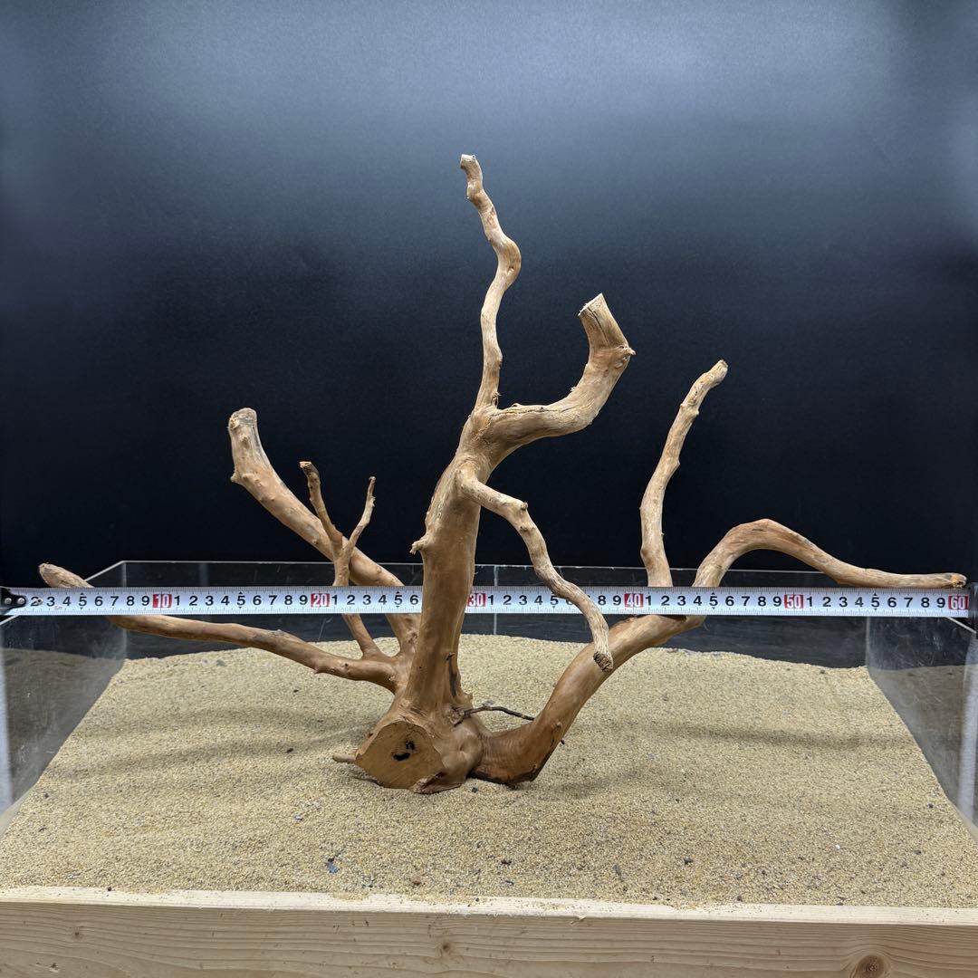 MDW-6785 MDW-6999 特大ブランチウッド　流木　枝流木