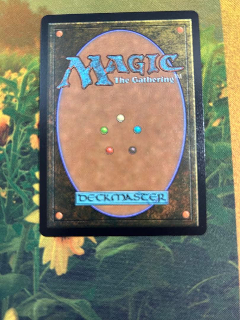 MTG リノア・ハーティリー　拡張foil 英語