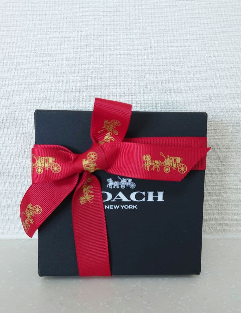 COACH チェーン フープ ピアス