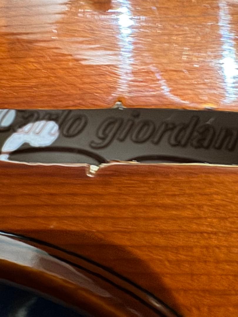 Carlo giordano バイオリン VS-0-44 4/4 フルサイズ