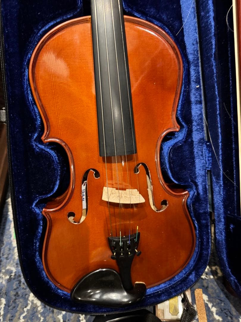 Carlo giordano バイオリン VS-0-44 4/4 フルサイズ