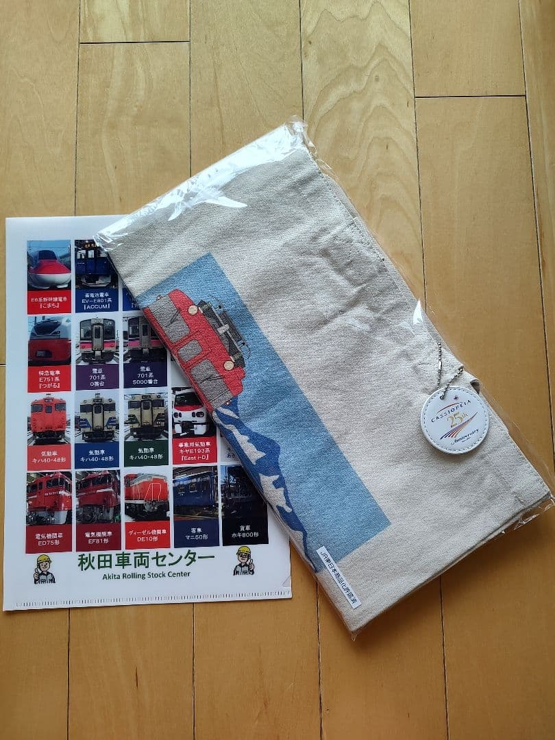 【激レア非売品】ED75-767 カシオペア　トートバッグ