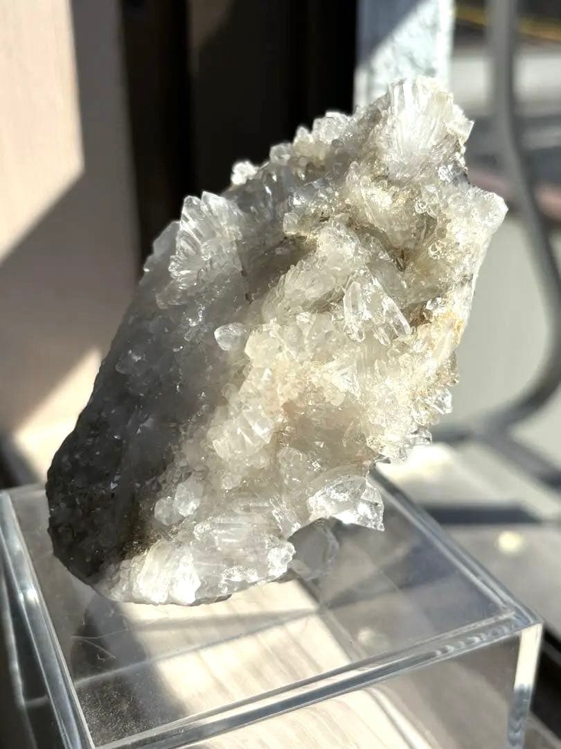 MGM【オールドストック・証明書あり】　メロディグリーンマイン