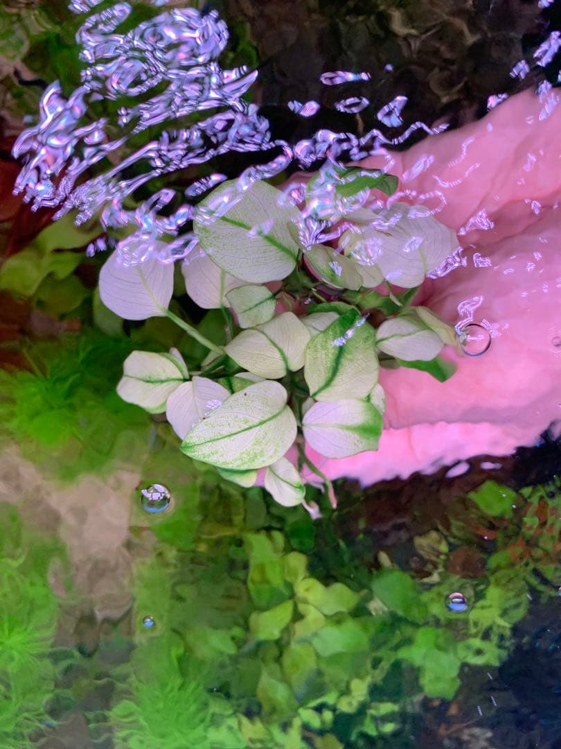 みーみ様向けまとめ出品します