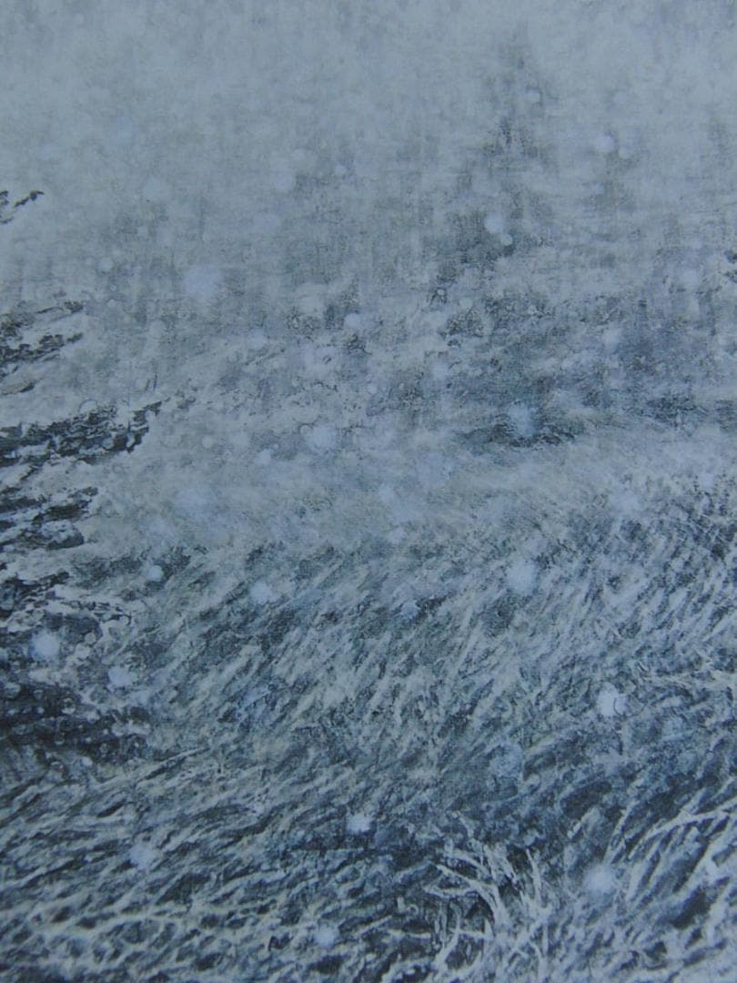 小柳種世、【初雪】、希少な額装用画集より、新品額装付、状態良好