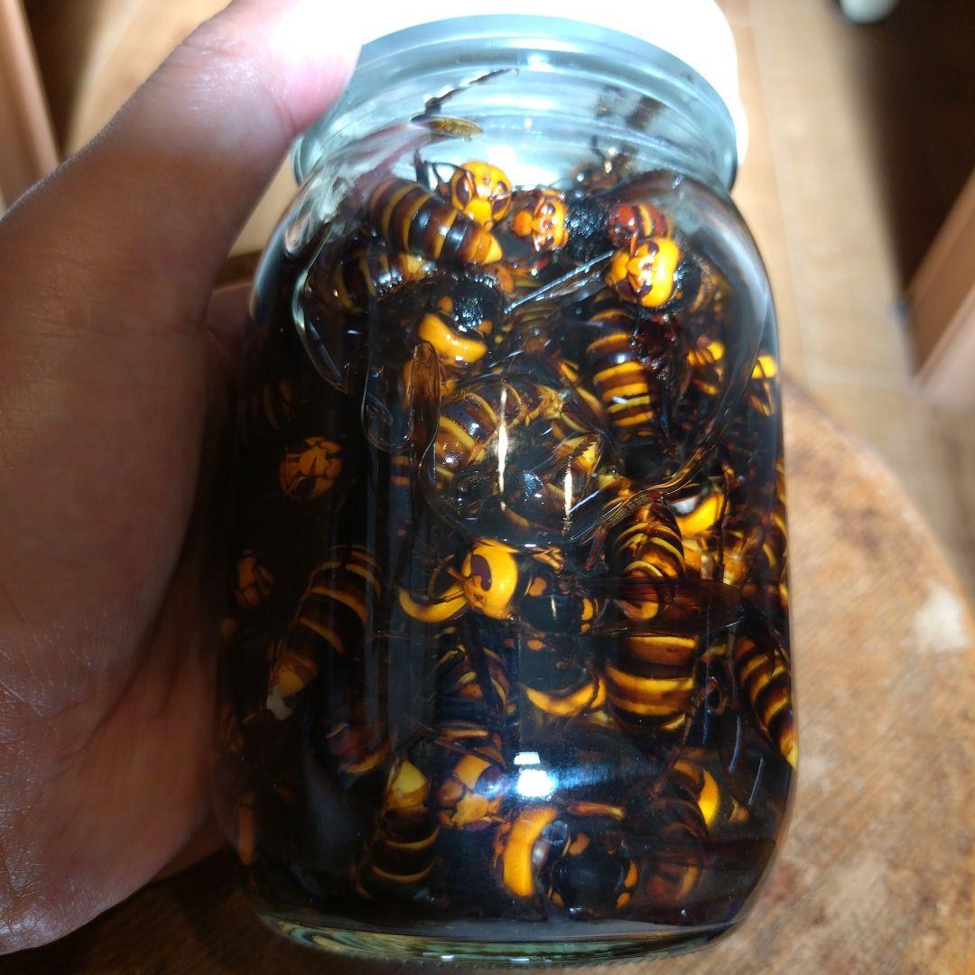 スズメバチ　焼酎　NPT