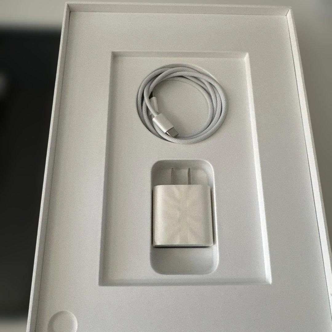 Apple iPad 代10世代 青