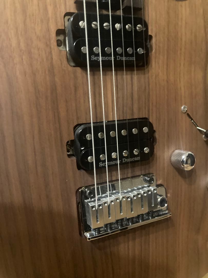 ギター Cort G300 Raw