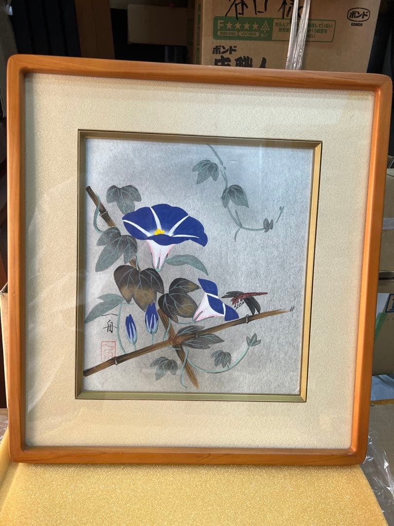 一舟　あさがお