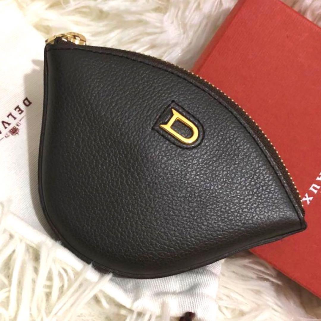 未使用✨デルヴォー レザー　ケース