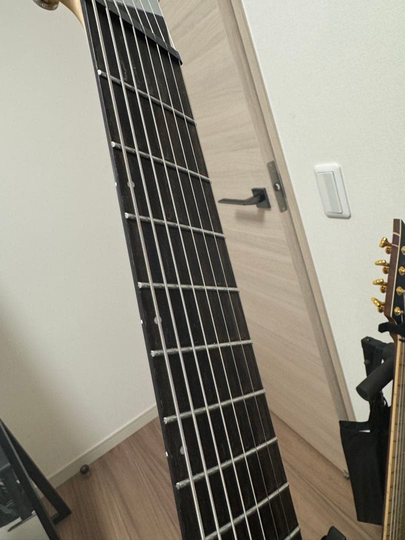 Ibanez ( アイバニーズ ) RGDMS8-CSM 8弦